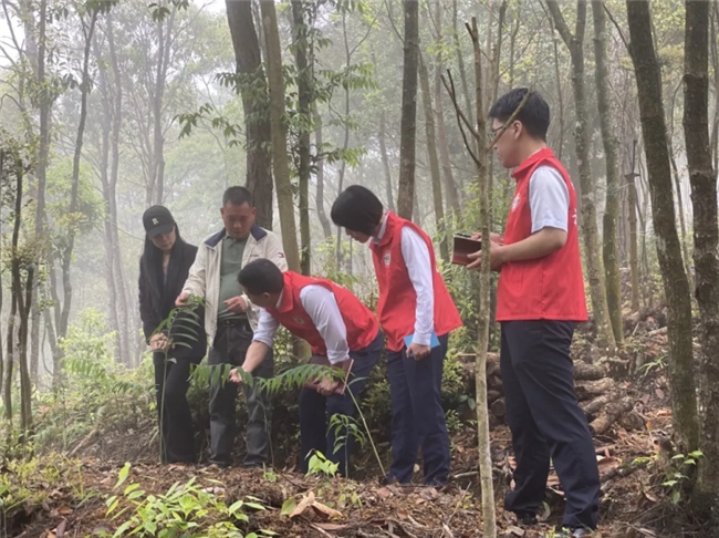 逐绿而行，福建农信为美丽福建赋能